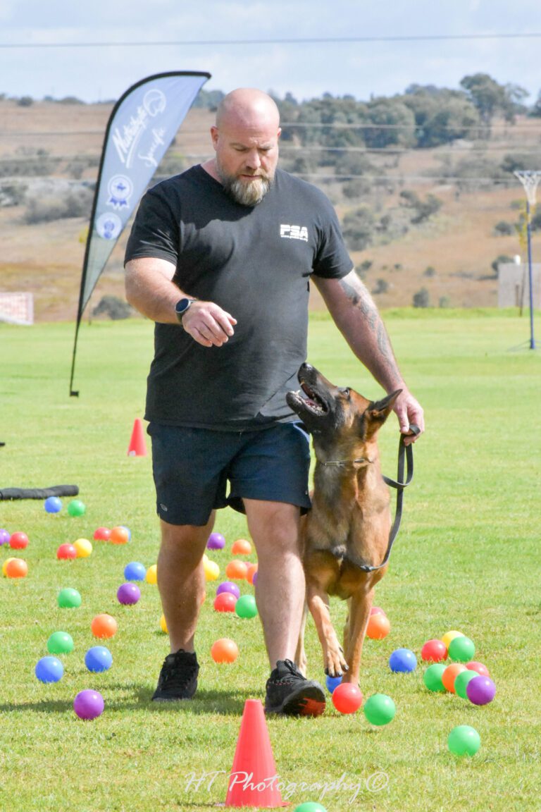 Our Protection Dogs