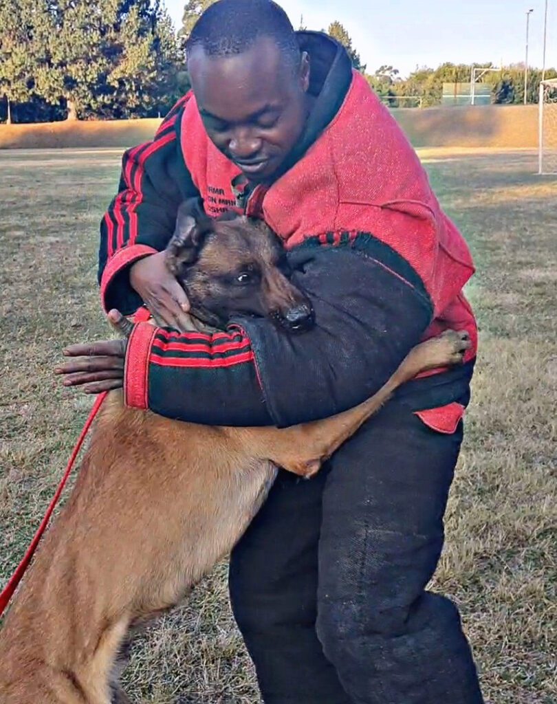 A trained helper in a bite suit hugging one of our dogs after a session