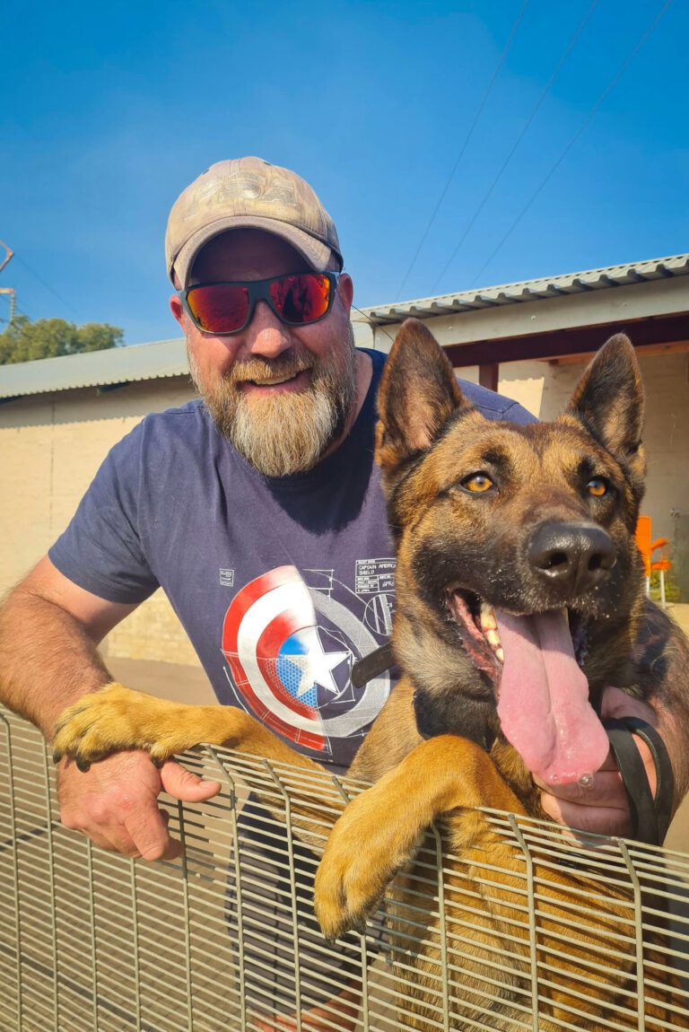 Our Protection Dogs