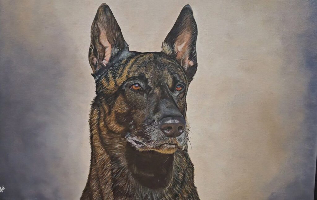 Oil portrait of a brindle Dutch Shepherd by Marilé Sadler