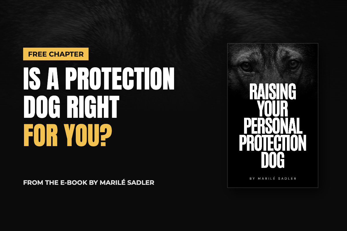 Is a protection dog right for you? Free chapter from Raising Your Personal Protection Dog by Marilé Sadler