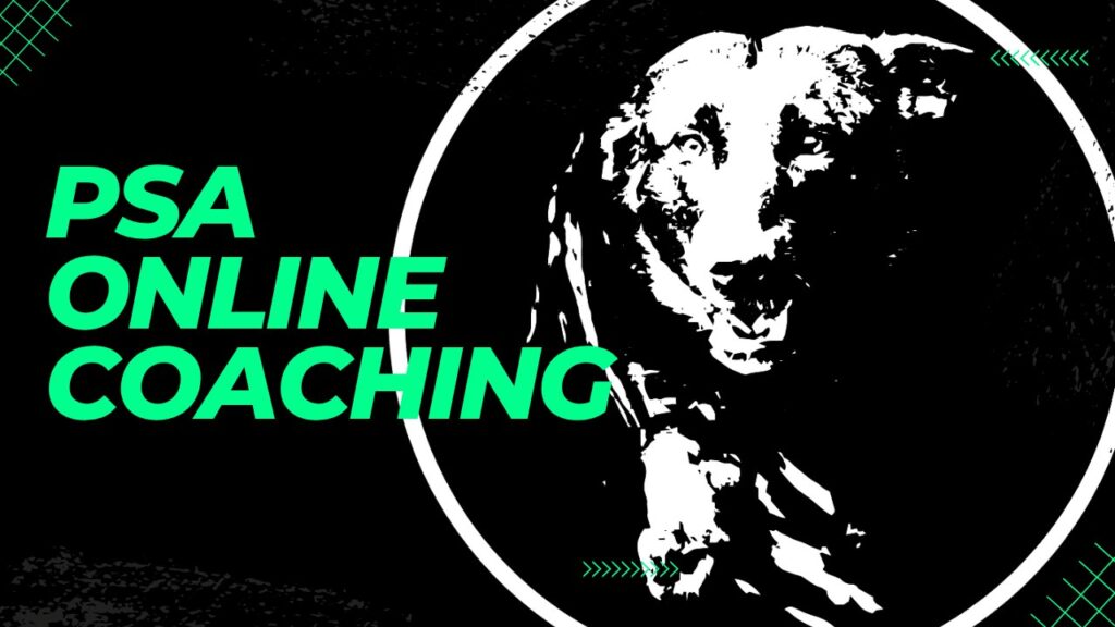 PSA online coaching with Our Protection Dogs