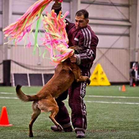 Passionate Experts in Personal & Family Protection