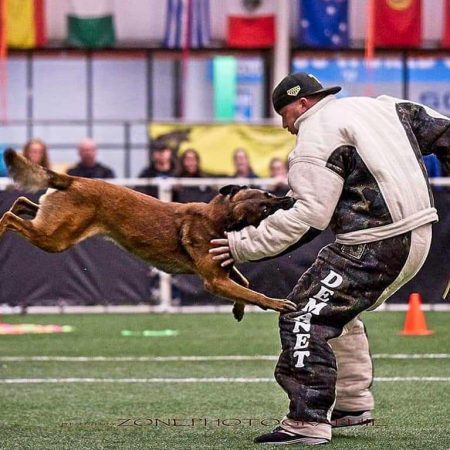 FB_IMG_1578488633641